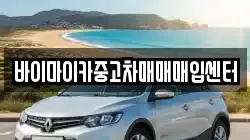 바이마이카중고차매매매입센터