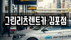 그린리츠렌트카 김포점
