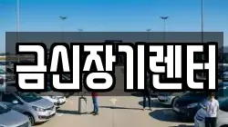 금신장기렌터