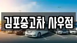 김포중고차 사우점