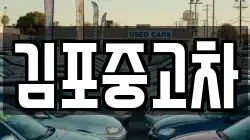 김포중고차