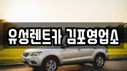경기 김포시 양촌읍 렌트카,단기렌트카,장기렌트카,중고차,중고차매매,중고차매입