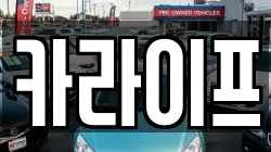 카라이프