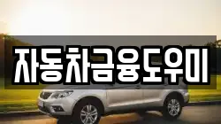 자동차금융도우미