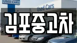 김포중고차