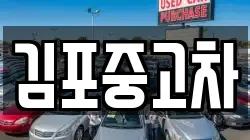 김포중고차