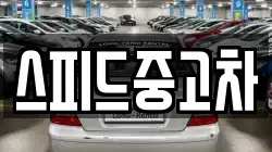 스피드중고차