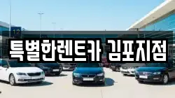 경기 김포시 풍무동 렌트카,단기렌트카,장기렌트카,중고차,중고차매매,중고차매입