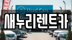 경기 남양주시 도농동 렌트카,단기렌트카,장기렌트카,중고차,중고차매매,중고차매입
