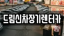 드림신차장기렌터카