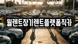 경기 남양주시 별내면 렌트카,단기렌트카,장기렌트카,중고차,중고차매매,중고차매입
