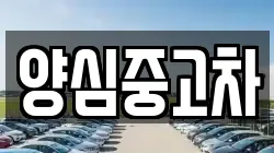 양심중고차
