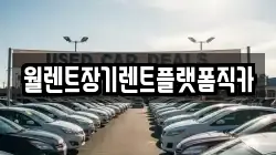 경기 남양주시 수석동 렌트카,단기렌트카,장기렌트카,중고차,중고차매매,중고차매입