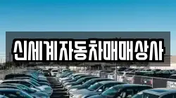 신세계자동차매매상사