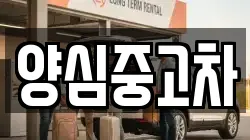 양심중고차