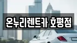경기 남양주시 호평동 렌트카,단기렌트카,장기렌트카,중고차,중고차매매,중고차매입