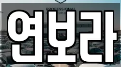 연보라