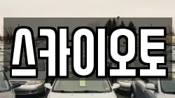 스카이오토