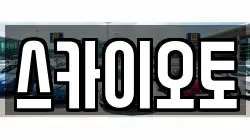 스카이오토