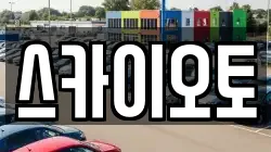 스카이오토