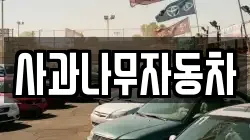 사과나무자동차