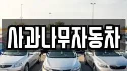 사과나무자동차