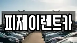 피제이렌트카