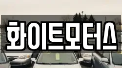 화이트모터스