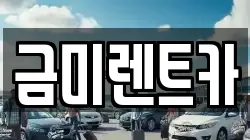 금미렌트카