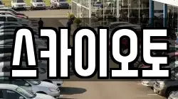 스카이오토
