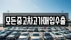 모든중고차고가매입수출