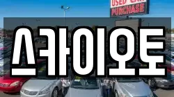 스카이오토