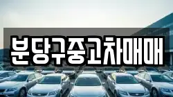 분당구중고차매매