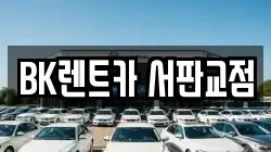 경기 성남시 분당구 대장동 렌트카,단기렌트카,장기렌트카,중고차,중고차매매,중고차매입