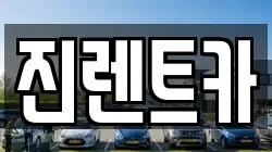 경기 성남시 분당구 분당동 렌트카,단기렌트카,장기렌트카,중고차,중고차매매,중고차매입