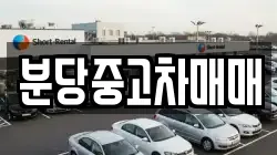 분당중고차매매