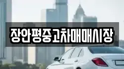 장안평중고차매매시장