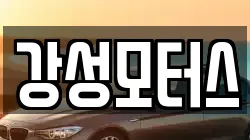 강성모터스