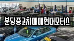 분당중고차매매현대모터스