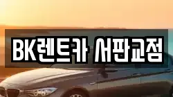 경기 성남시 분당구 운중동 렌트카,단기렌트카,장기렌트카,중고차,중고차매매,중고차매입