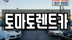 토마토렌트카
