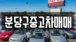 분당구중고차매매
