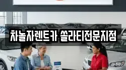차놀자렌트카 쏠라티전문지점
