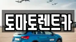 토마토렌트카