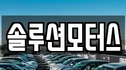 솔루션모터스