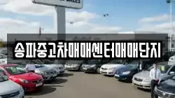 송파중고차매매센터매매단지