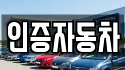 인증자동차