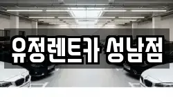 유정렌트카 성남점