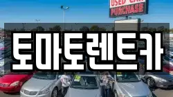토마토렌트카