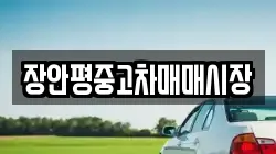 장안평중고차매매시장